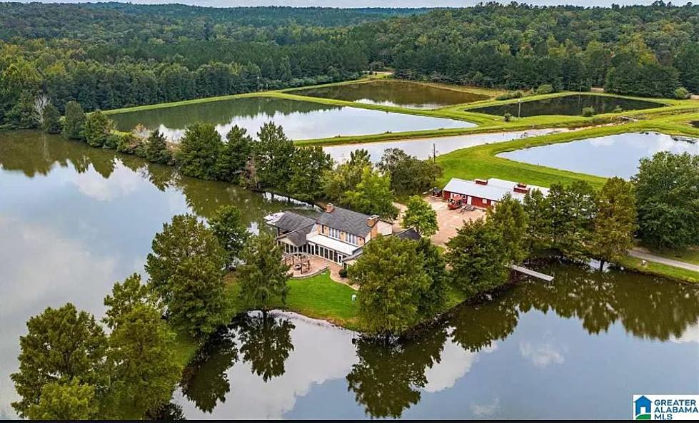 Did You Know You Can Buy an Island in Gordo, Alabama?