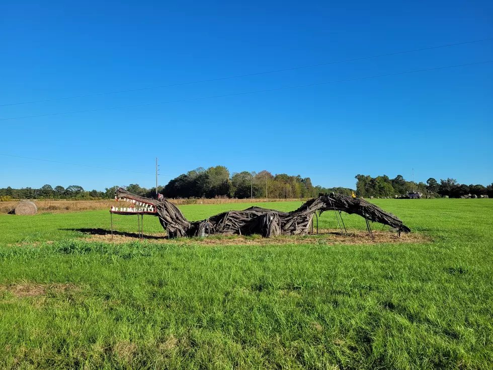 Forkland, Alabama Hay Art Mystery Solved and Has a Remarkable History
