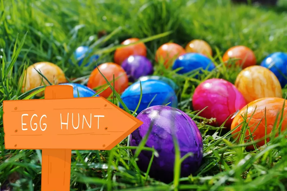 Grab Your Baskets and Head to the Northport Bunny Trail’s ‘Egg Hunt’