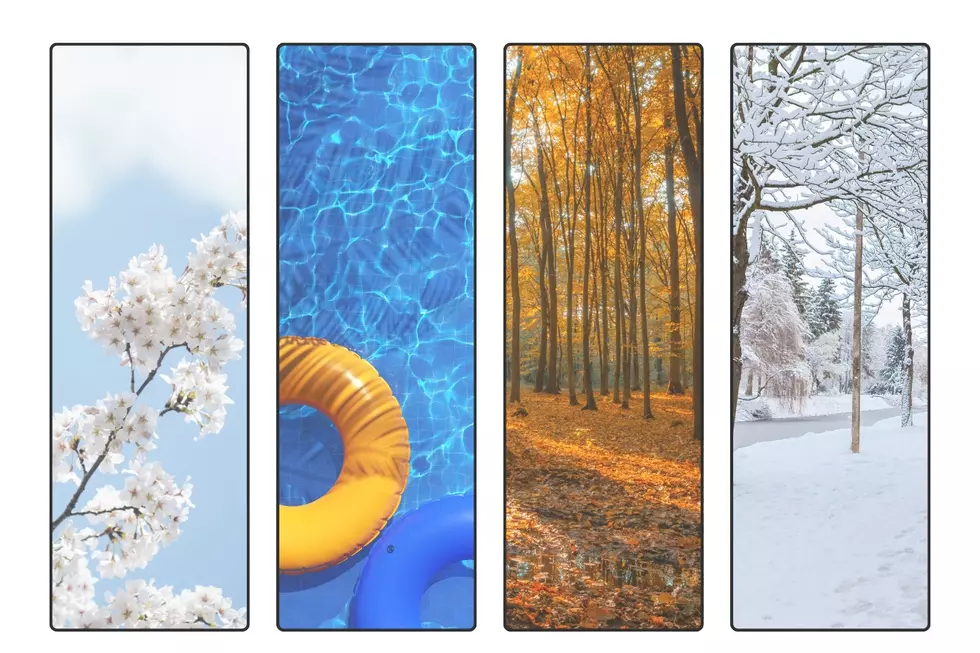 How Meteorological and Astronomical Seasons Are Different